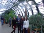 Учащиеся X «В» класса посетили Центр экологии ботанической экспозиции «Зимний сад»